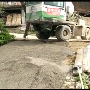 Customer Case Video of LUZUN Automatic Feeding Mixer