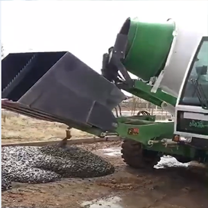 Customer Case Video of LUZUN Automatic Feeding Mixer